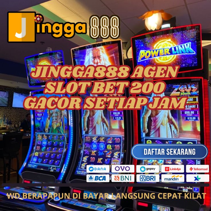 jingga888